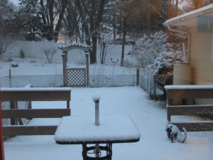 Our first measurable snow of the year.